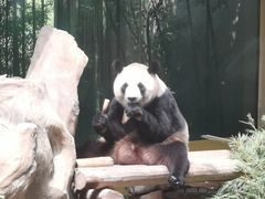 -杭州野生动物世界