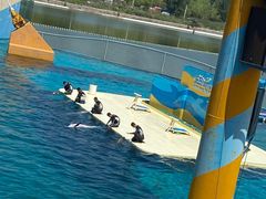 -秦皇岛乐岛海洋王国