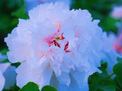 -东南大学(九龙湖校区)