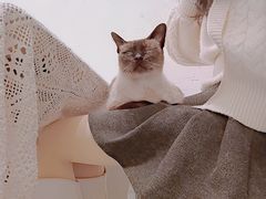 -猫友咖啡店(玉林西路店)