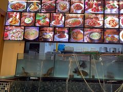-小团圆灶台鱼·百城头牌菜(千岛湖店)