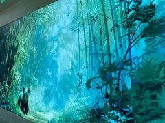 -眉州东坡·熊猫主题餐厅(枫蓝店)