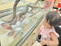 -长廊欢乐园