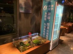 -新盈光·旗舰店(海曙苍松路店)