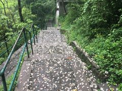 -溪口-滕头旅游景区