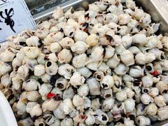 -阿锋烧烤海鲜楼(贝村烧烤一条街)