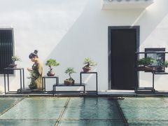 -稍可轩博物馆餐厅