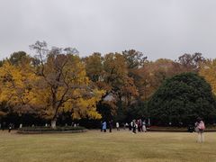 -灵谷景区