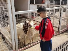 -J Create城市露营咖啡·简餐·宠物(上海动物园店)