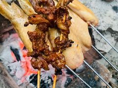 -南宁良凤江国家森林公园