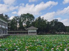 -荔湾湖公园