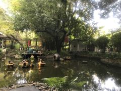 -同庆堂(解放北路店)