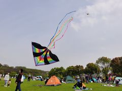 -羊山湖公园
