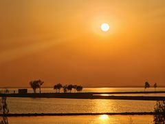 -合肥滨湖国家森林公园