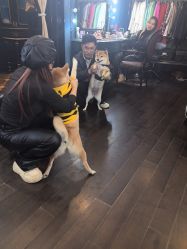 -鼎极摄影(蓝色港湾店)