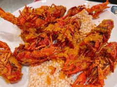 -红盔甲·小龙虾(天钥桥店)