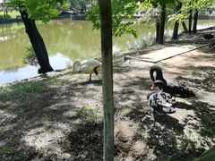 -沈阳森林动物园