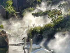 -罗红摄影艺术馆