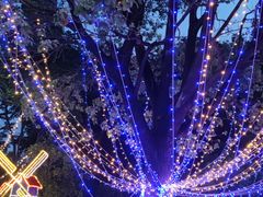 -苏州太湖国家湿地公园