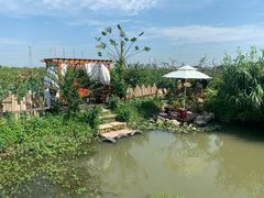 -樂桃源奉贤黄桃种植采摘基地