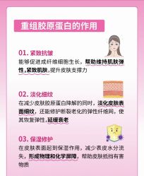 点击看大图 -玛莲朵·海菲秀冰珀科