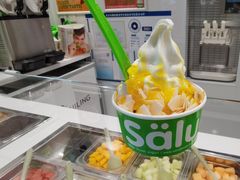 -Salud撒露欧洲冻酸奶(五道口购物中心店)