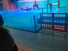 -乌鲁木齐海洋馆