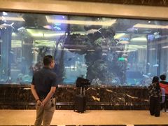 -碧桂园凤凰城酒店(南京店)