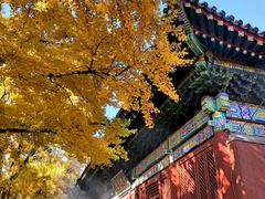 -红螺寺