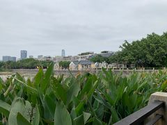 -黄埔古港