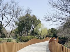 -青枫公园