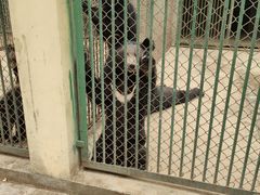 -合肥野生动物园