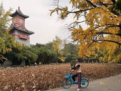 -四川大学(华西校区)