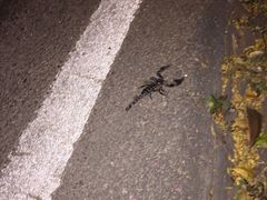 -尚泰清迈机场购物中心