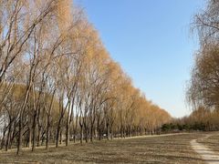 -东坝千亩湖公园