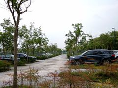 -嘉北郊野公园北游客中心-地上停车场