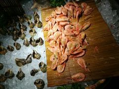 北极冰虾-天泊圣汇洗浴