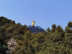 -城外有星光桥舍(南山店)