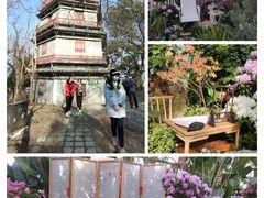 -上海辰山植物园