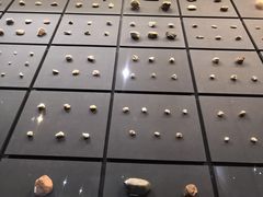 -北京周口店北京人遗址博物馆