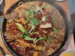 -老板恋上鱼(高新万达店)