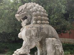 -灵谷景区