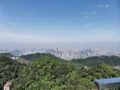-大金鹰园