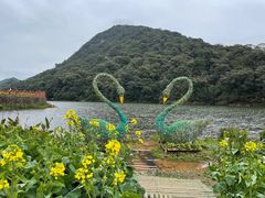 -广州市石门国家森林公园