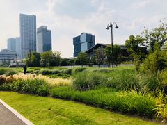 -北外滩滨江绿地