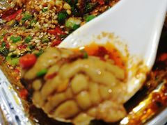 -大萝卜烧烤羊蝎子烤全羊(新城河路店)