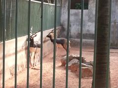 -广东茂名森林公园