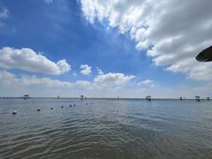 -碧海金沙