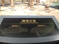 -大庆市博物馆