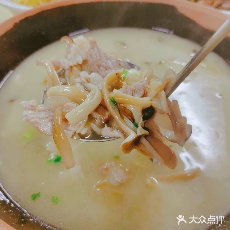 笨萝卜终于来深圳啦!